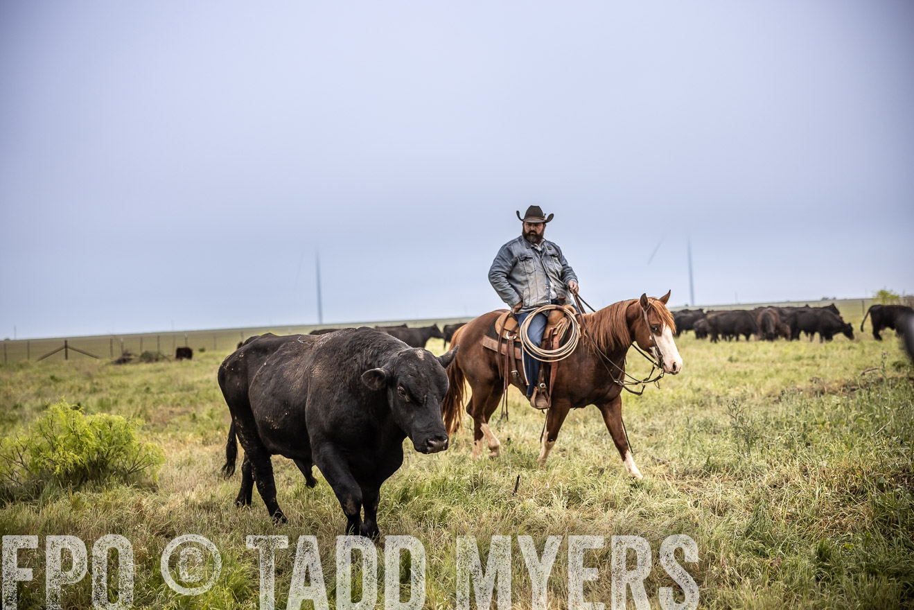TMyers_PP_CircleBarRanch_TruscottTX_April2024-511735
