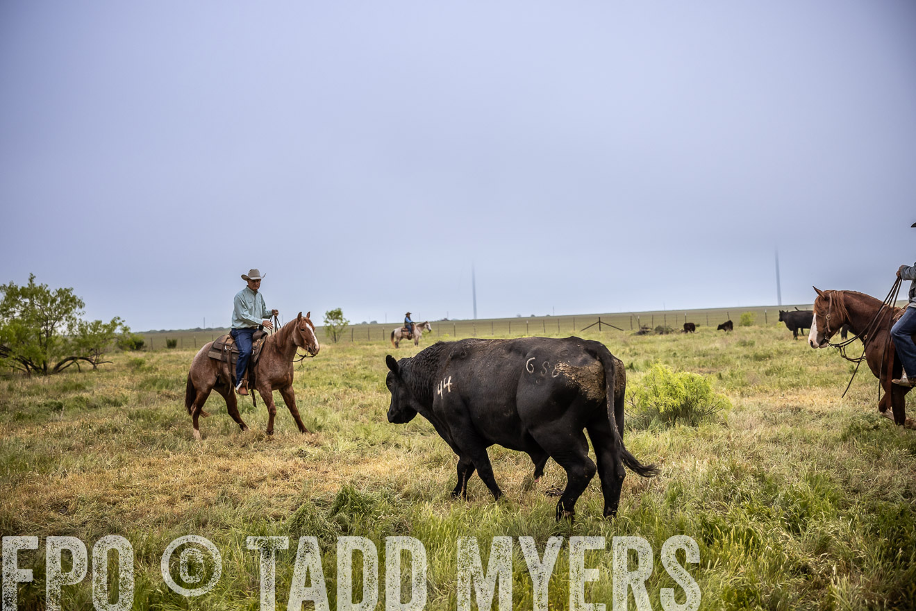 TMyers_PP_CircleBarRanch_TruscottTX_April2024-511750