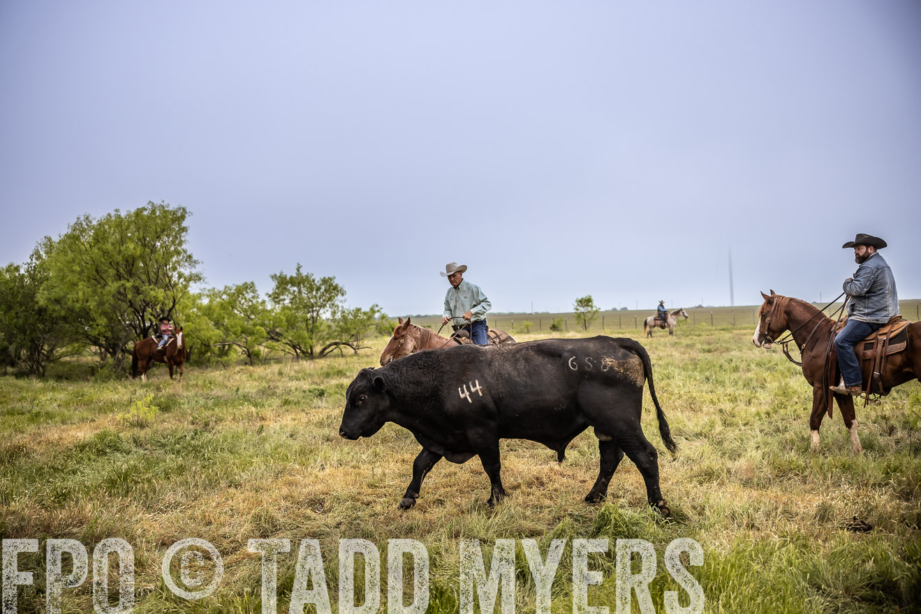TMyers_PP_CircleBarRanch_TruscottTX_April2024-511757