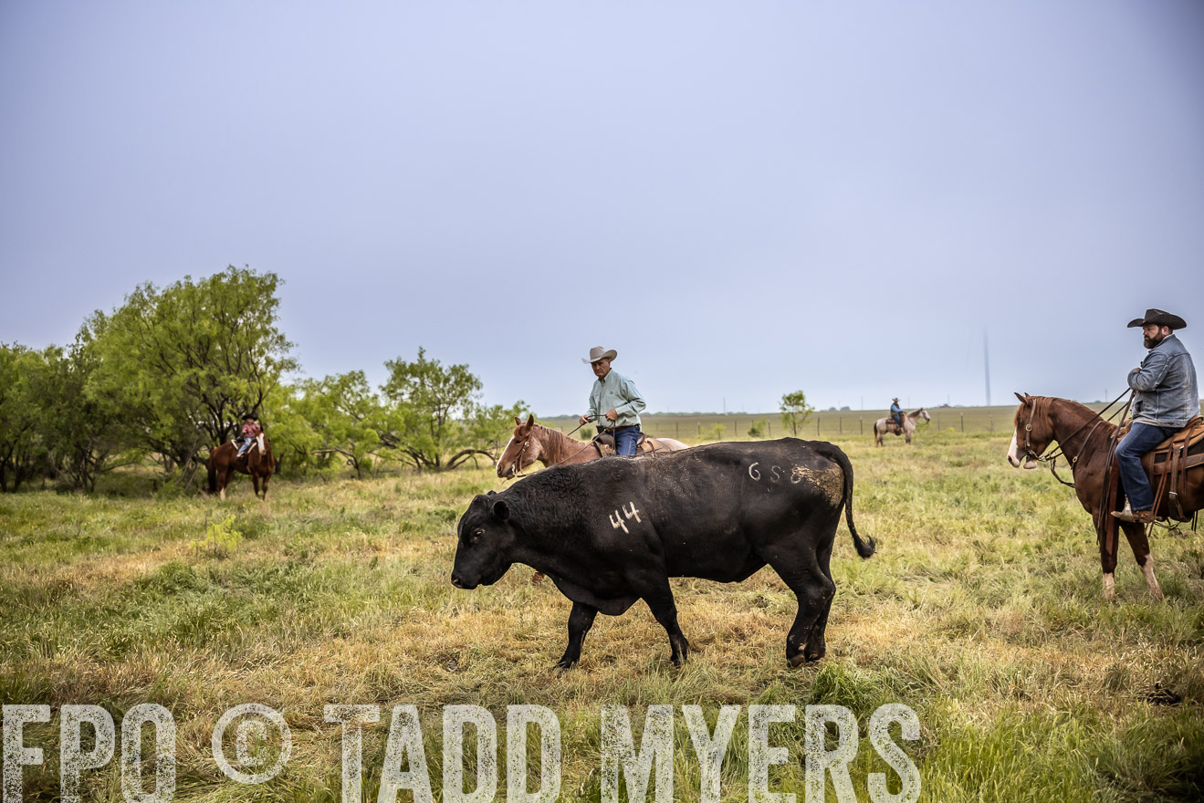 TMyers_PP_CircleBarRanch_TruscottTX_April2024-511759