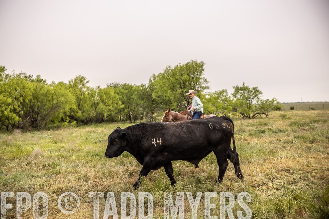 TMyers_PP_CircleBarRanch_TruscottTX_April2024-511764