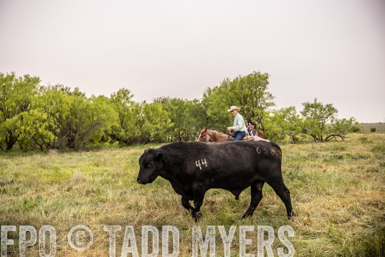 TMyers_PP_CircleBarRanch_TruscottTX_April2024-511768