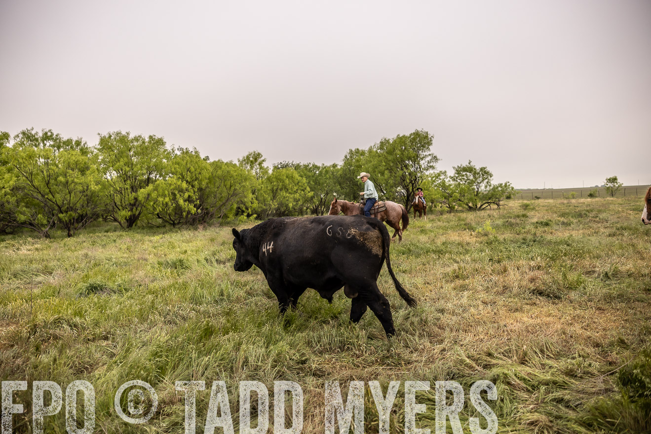 TMyers_PP_CircleBarRanch_TruscottTX_April2024-511795