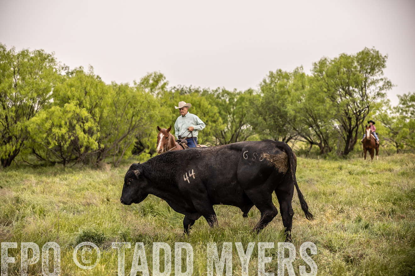 TMyers_PP_CircleBarRanch_TruscottTX_April2024-511804