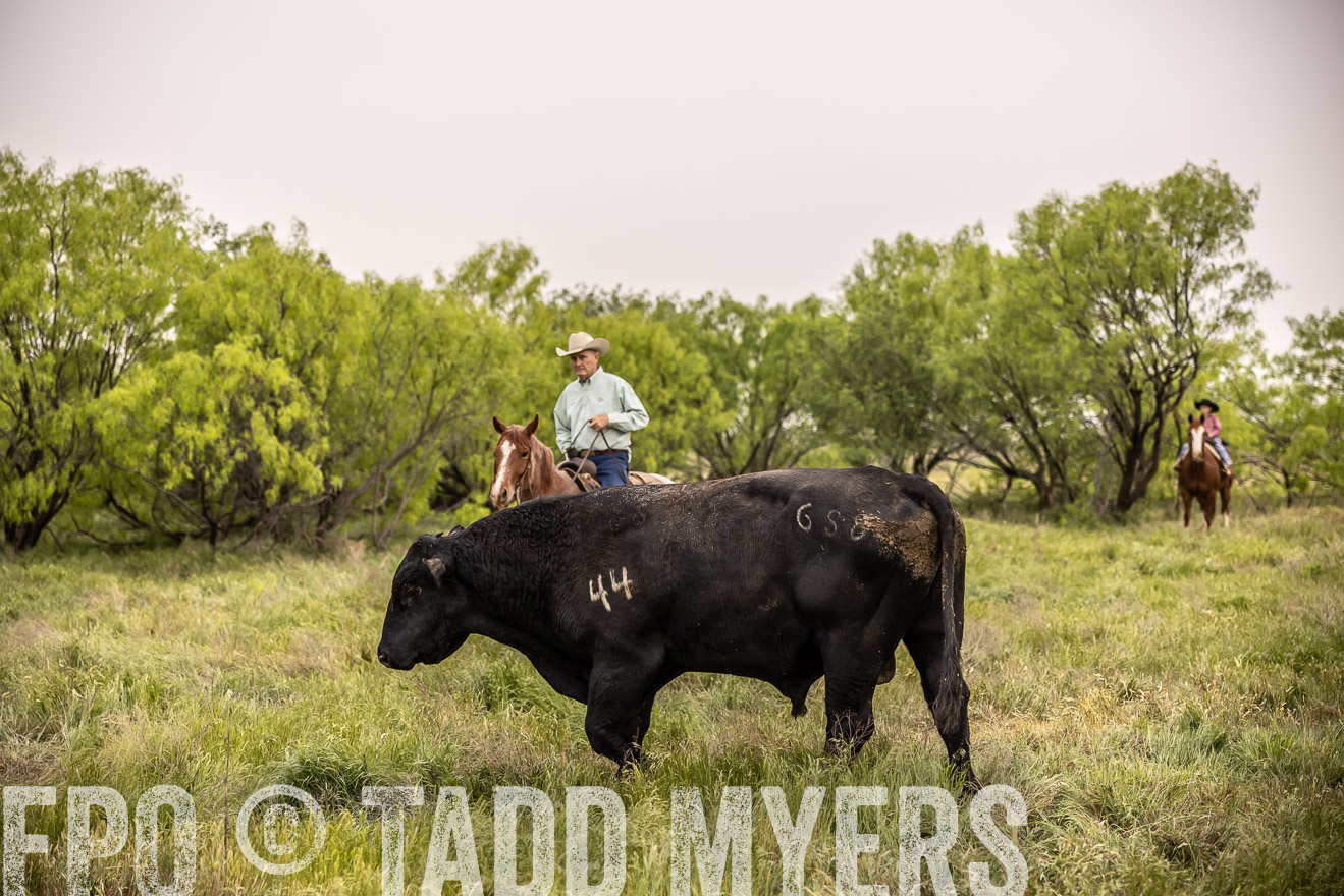 TMyers_PP_CircleBarRanch_TruscottTX_April2024-511806