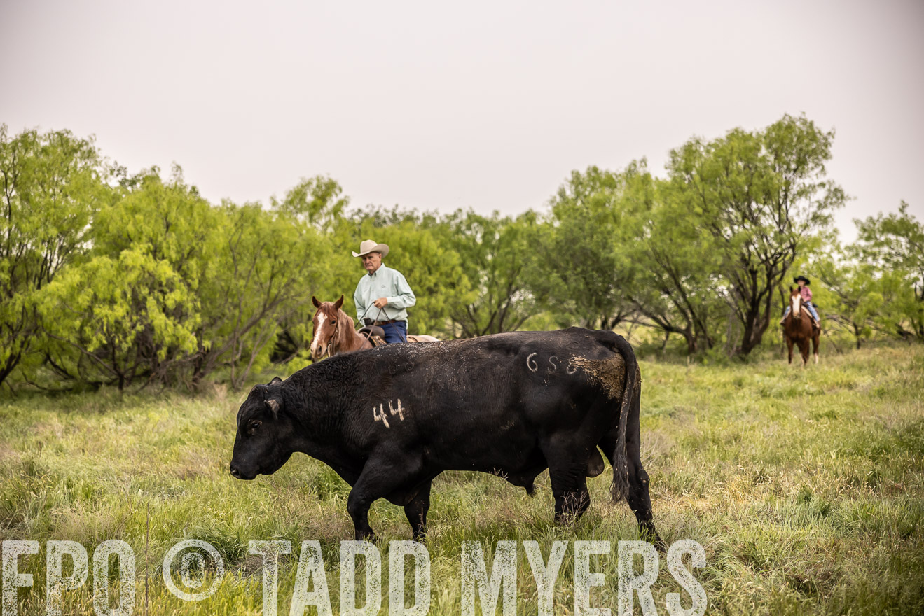 TMyers_PP_CircleBarRanch_TruscottTX_April2024-511807