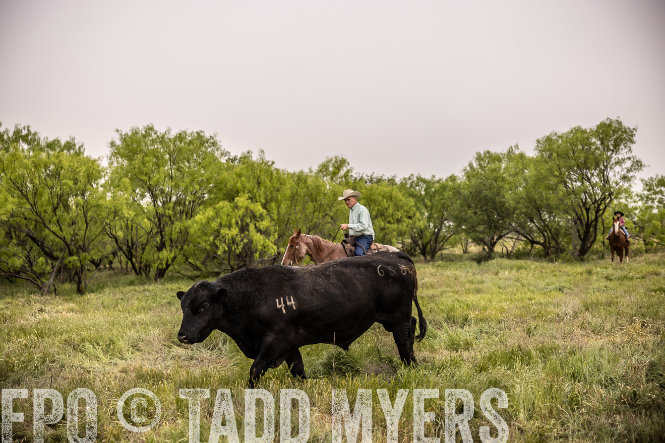 TMyers_PP_CircleBarRanch_TruscottTX_April2024-511813
