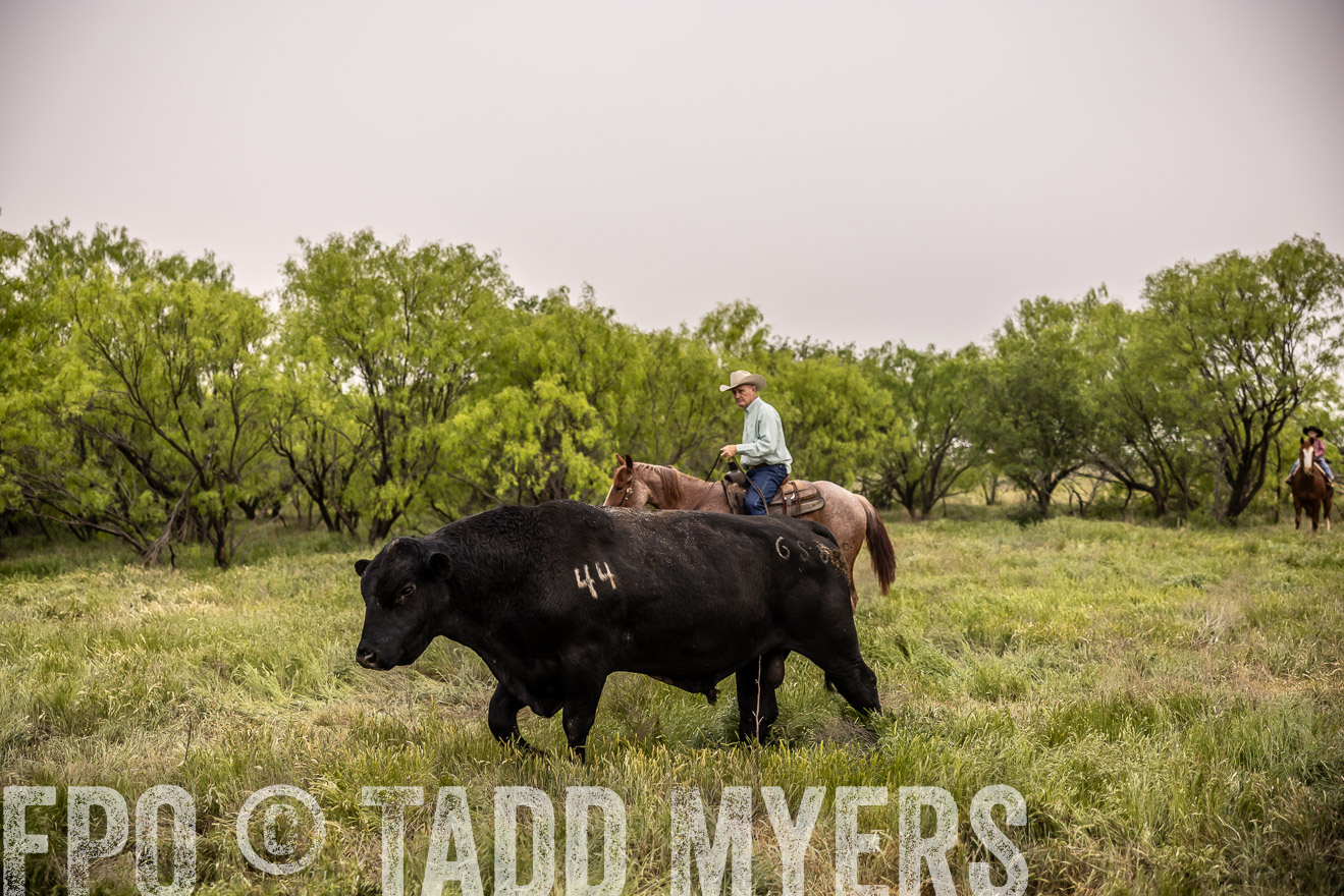 TMyers_PP_CircleBarRanch_TruscottTX_April2024-511816
