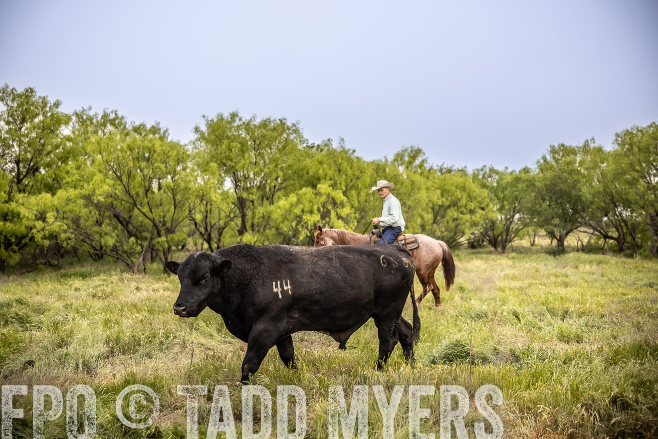 TMyers_PP_CircleBarRanch_TruscottTX_April2024-511818