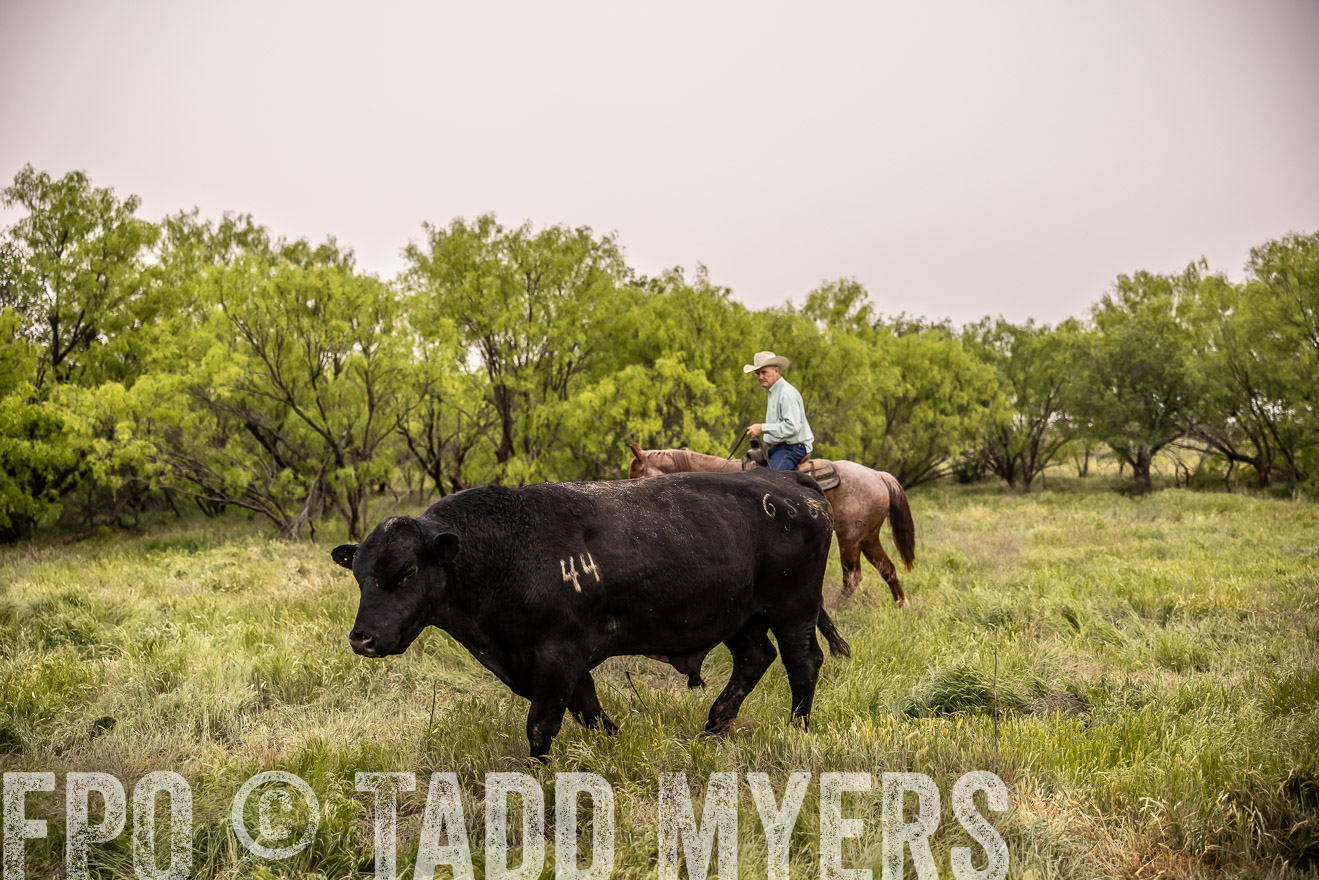 TMyers_PP_CircleBarRanch_TruscottTX_April2024-511820