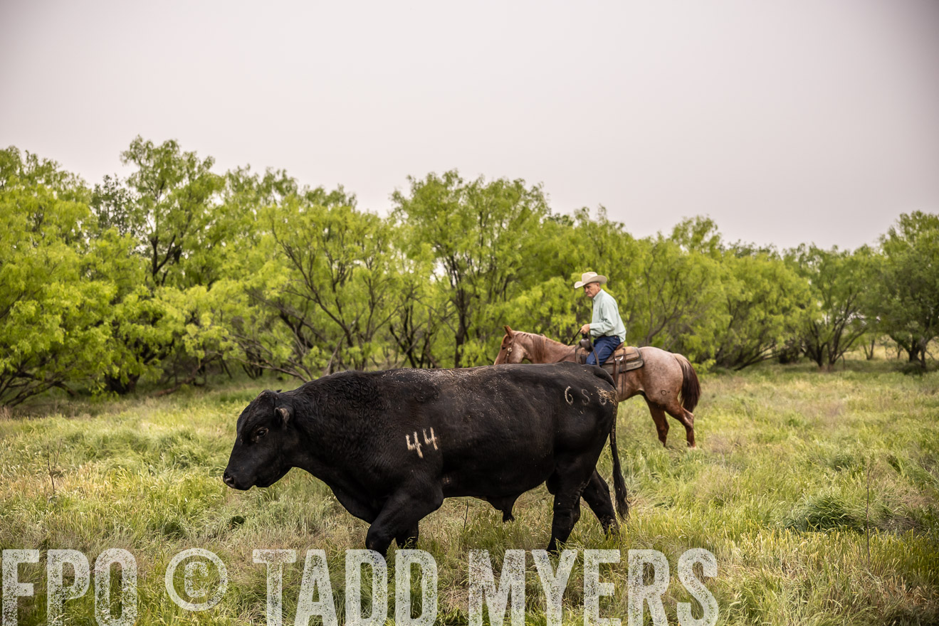 TMyers_PP_CircleBarRanch_TruscottTX_April2024-511824