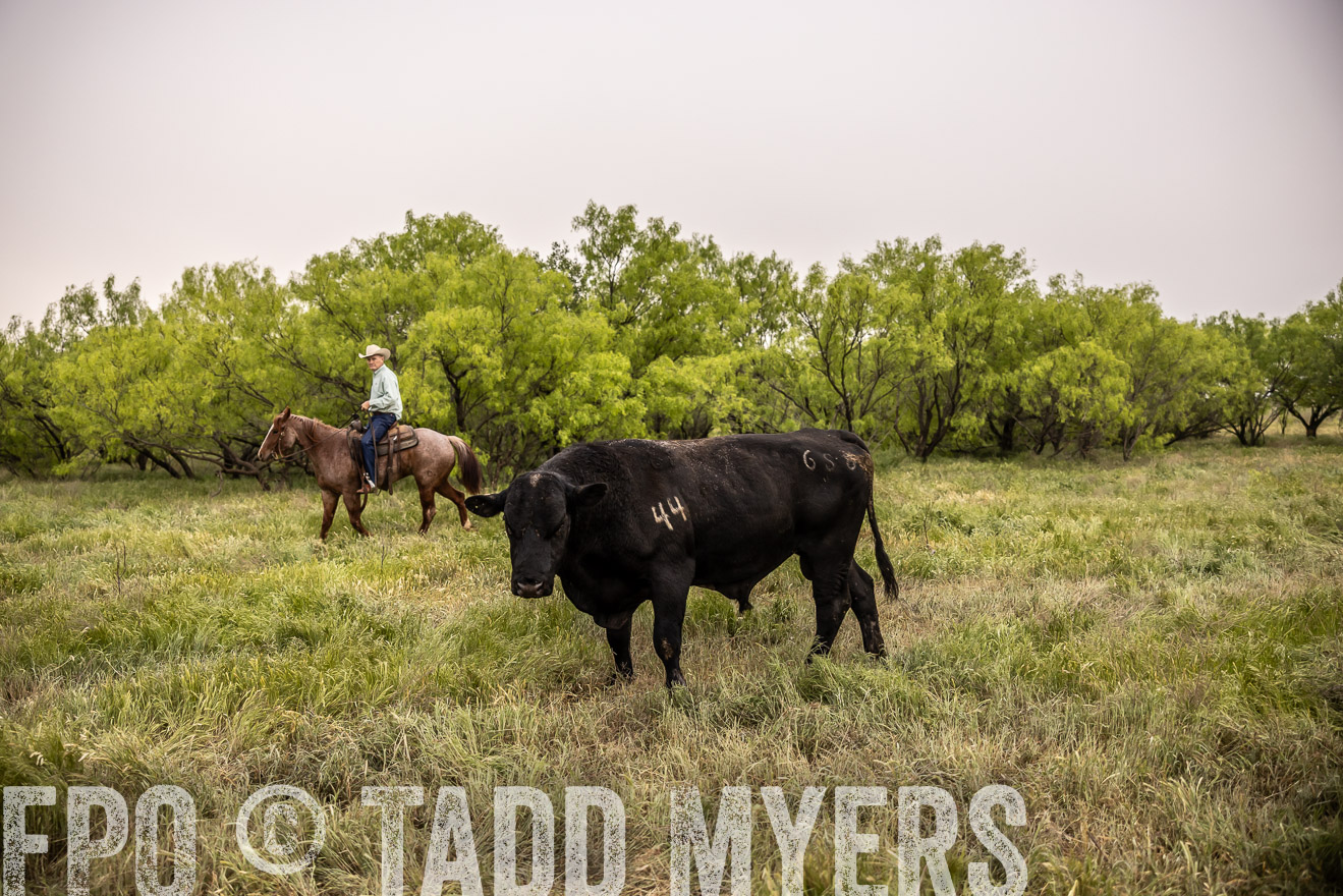 TMyers_PP_CircleBarRanch_TruscottTX_April2024-511844