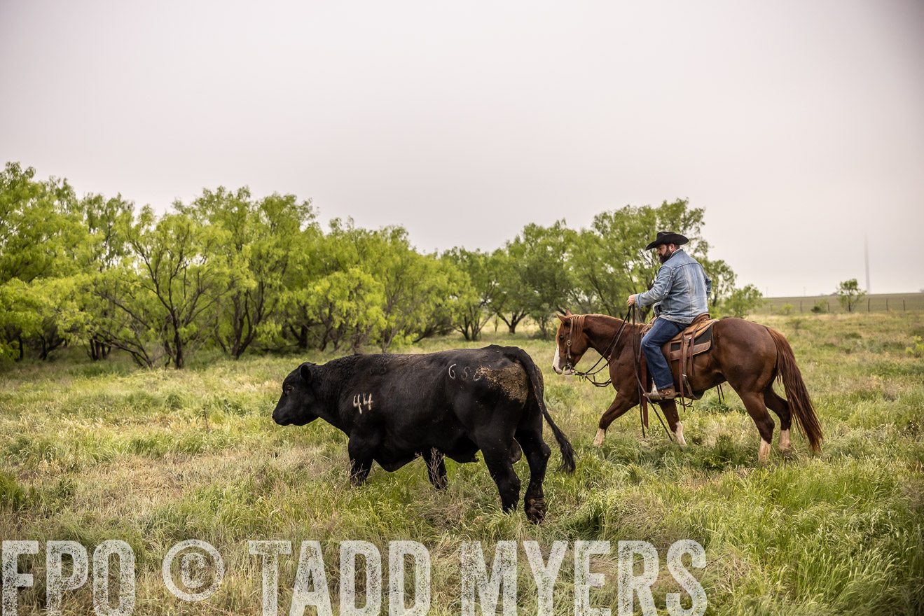 TMyers_PP_CircleBarRanch_TruscottTX_April2024-511857