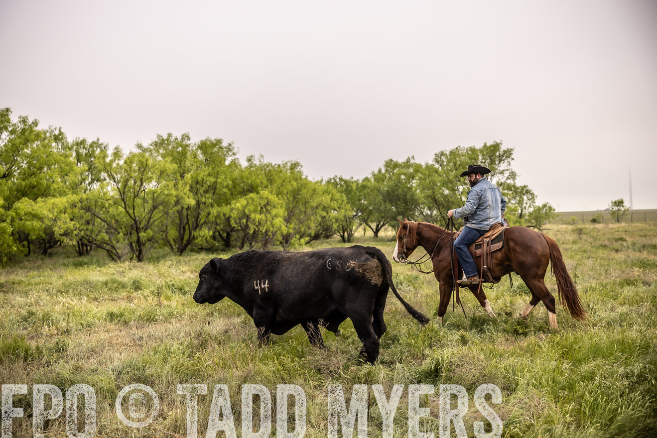 TMyers_PP_CircleBarRanch_TruscottTX_April2024-511858