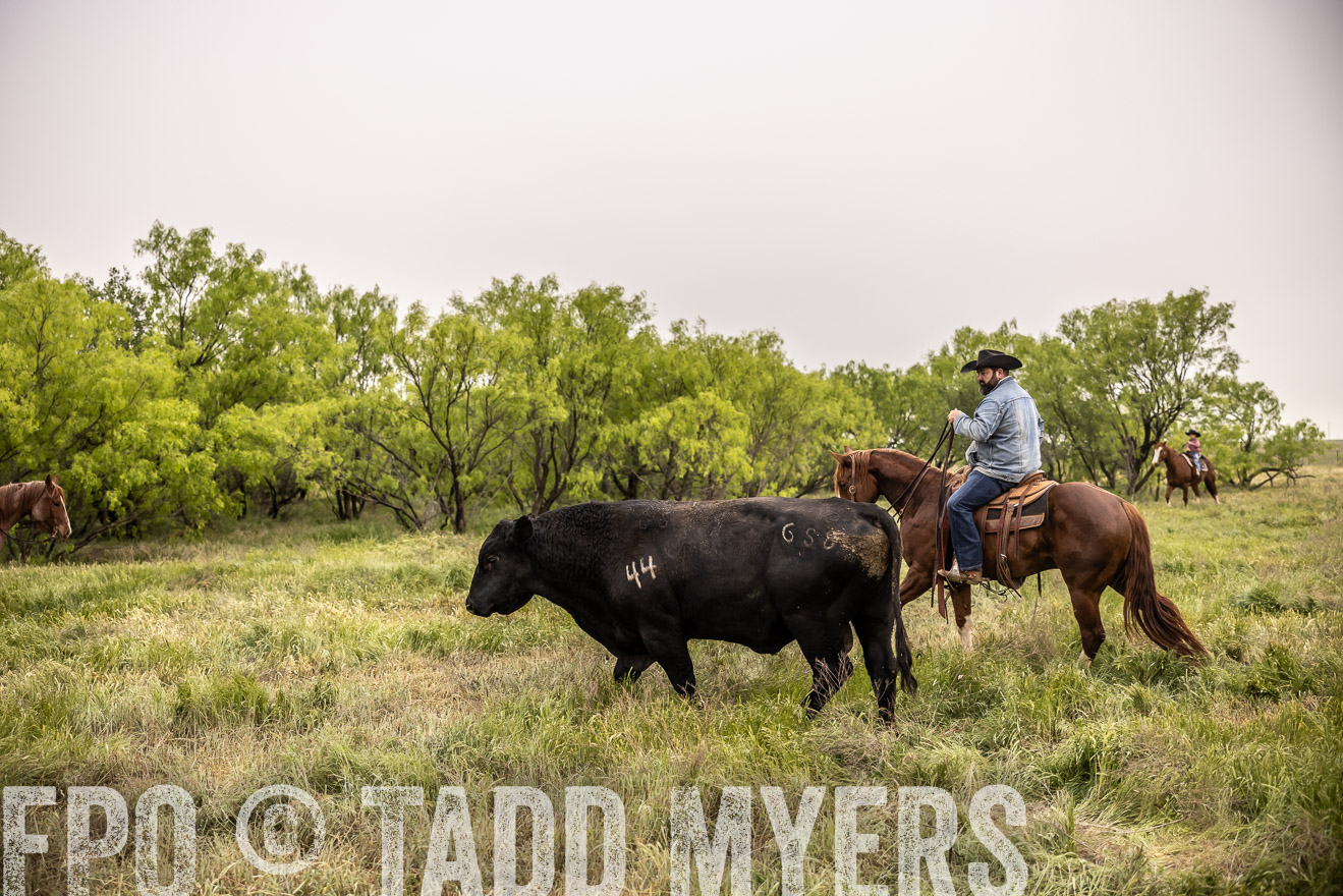 TMyers_PP_CircleBarRanch_TruscottTX_April2024-511861