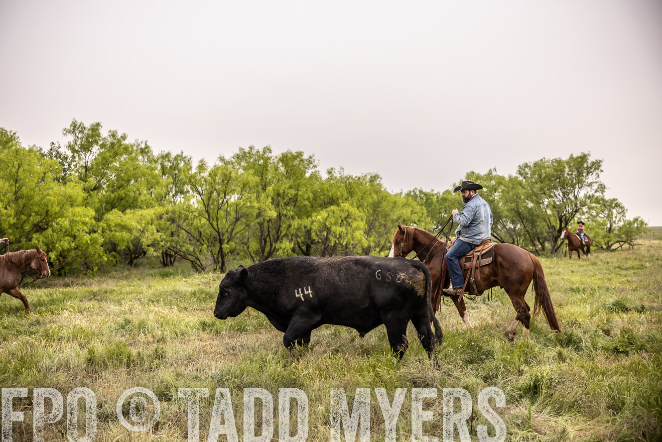 TMyers_PP_CircleBarRanch_TruscottTX_April2024-511863