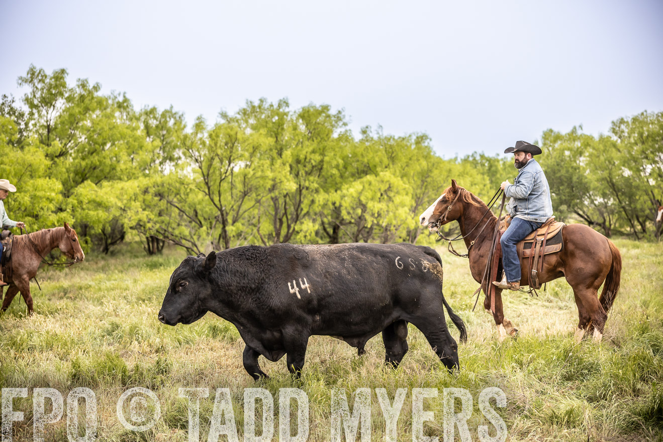 TMyers_PP_CircleBarRanch_TruscottTX_April2024-511865