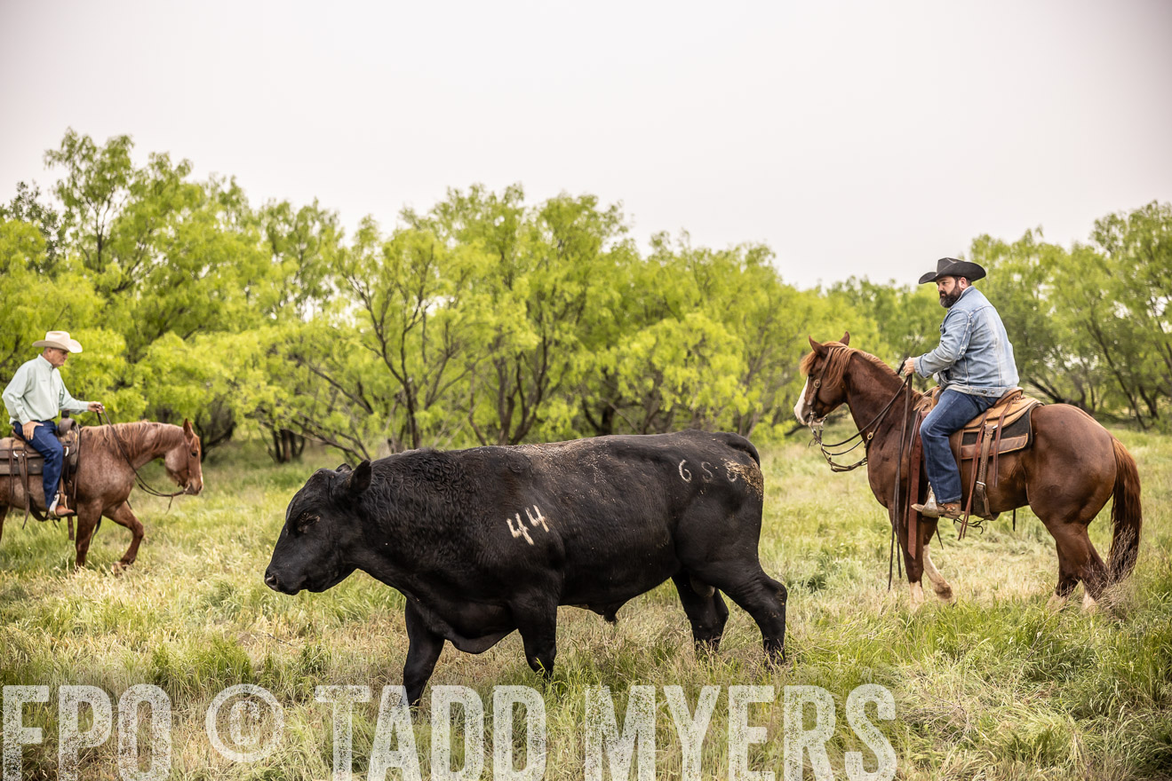 TMyers_PP_CircleBarRanch_TruscottTX_April2024-511867