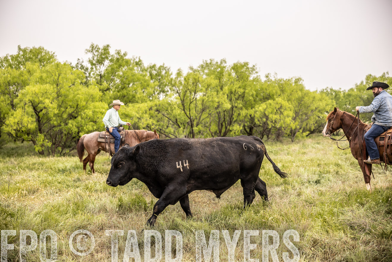 TMyers_PP_CircleBarRanch_TruscottTX_April2024-511870