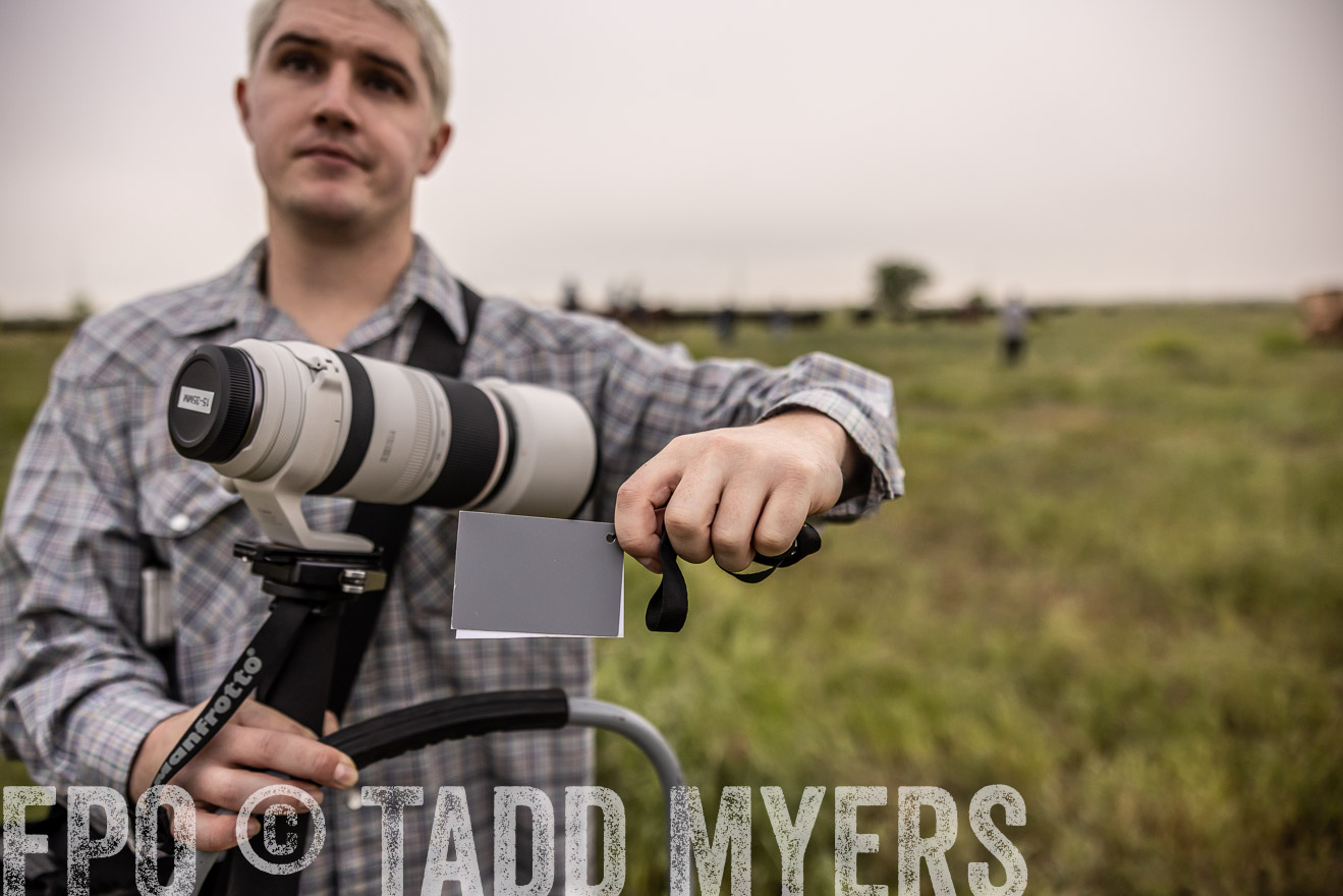 TMyers_PP_CircleBarRanch_TruscottTX_April2024-511925