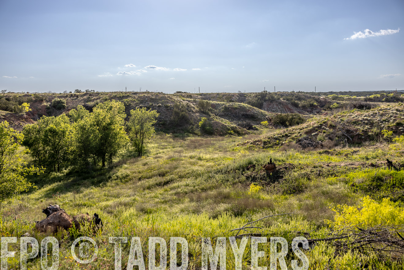 TMyers_PP_CircleBarRanch_TruscottTX_April2024-519226