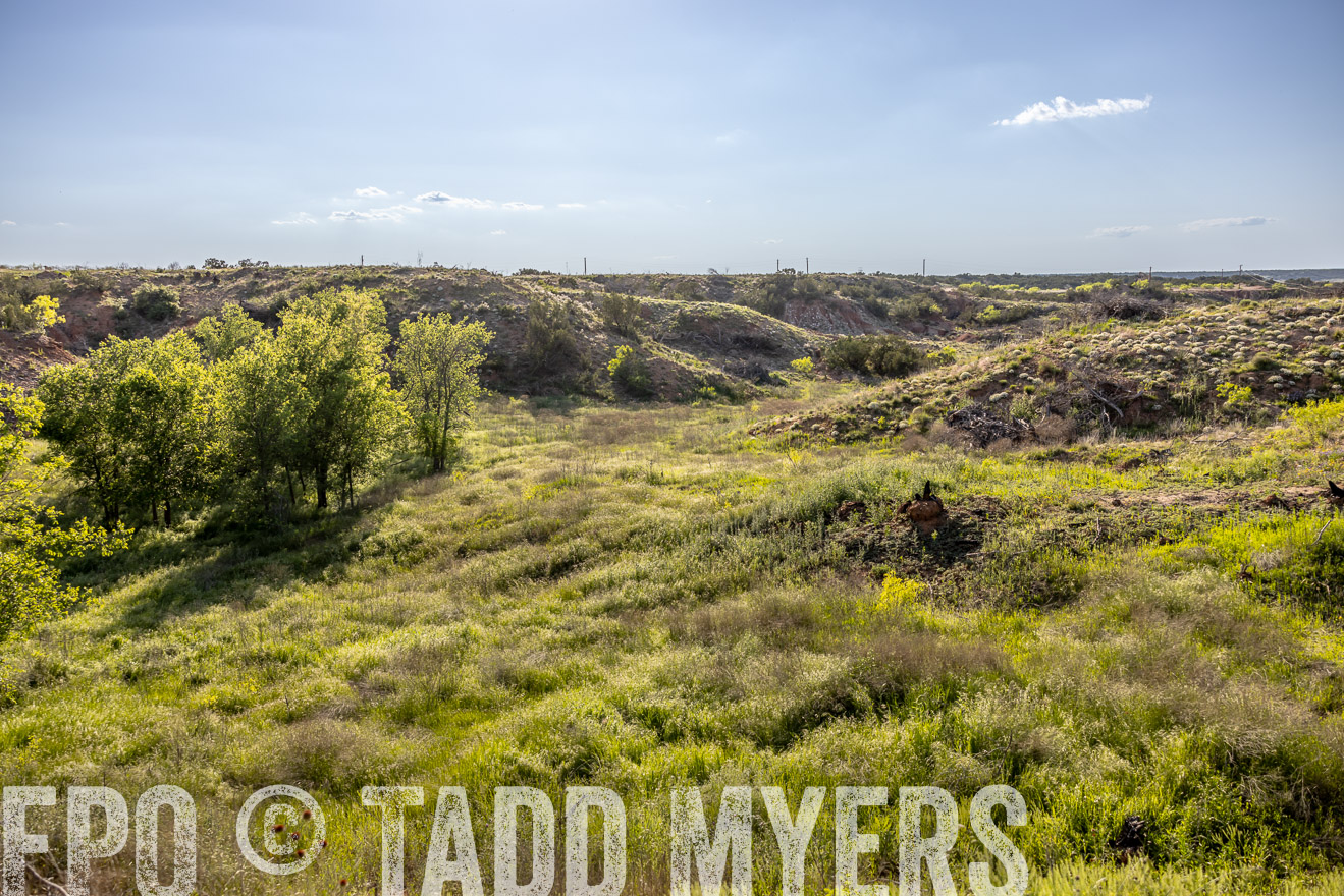 TMyers_PP_CircleBarRanch_TruscottTX_April2024-519227