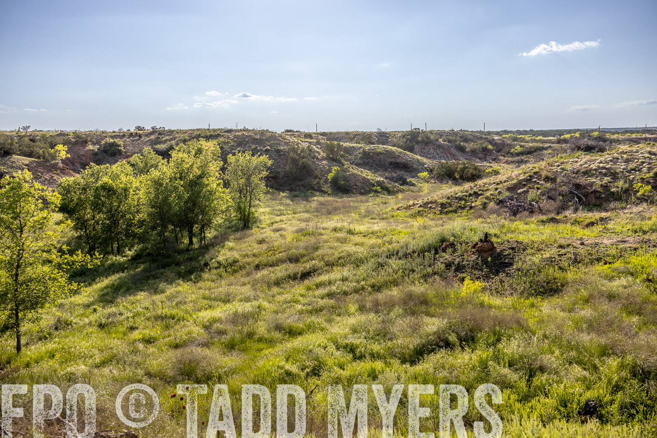 TMyers_PP_CircleBarRanch_TruscottTX_April2024-519230