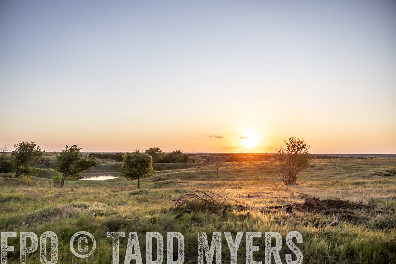 TMyers_PP_CircleBarRanch_TruscottTX_April2024-519686