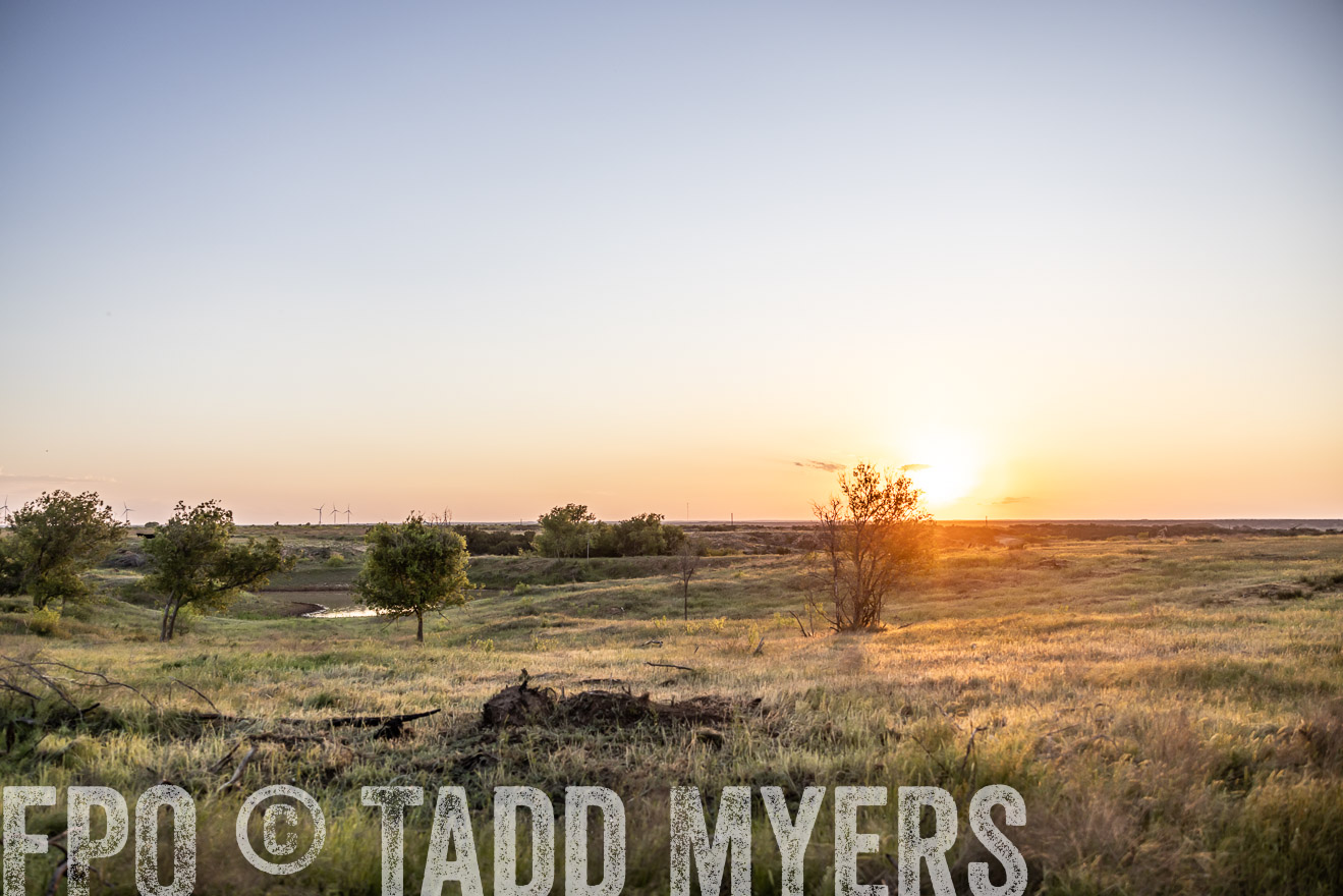 TMyers_PP_CircleBarRanch_TruscottTX_April2024-519689