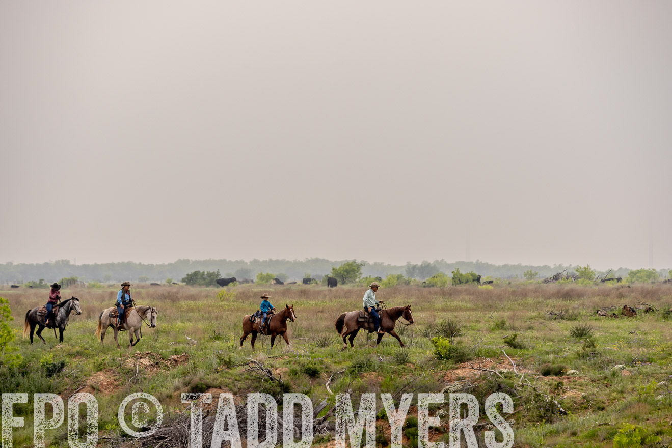 TMyers_PP_CircleBarRanch_TruscottTX_April2024-523233