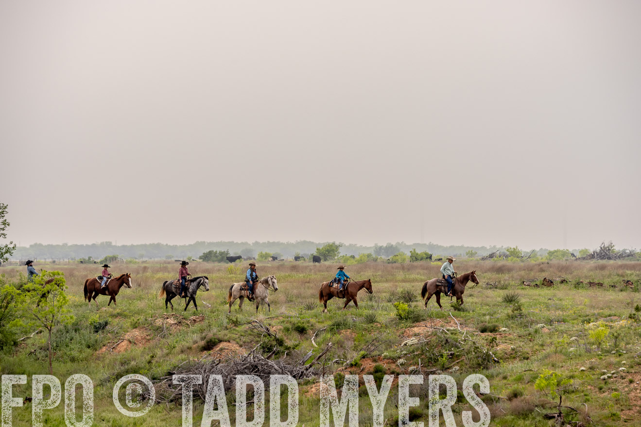 TMyers_PP_CircleBarRanch_TruscottTX_April2024-523237