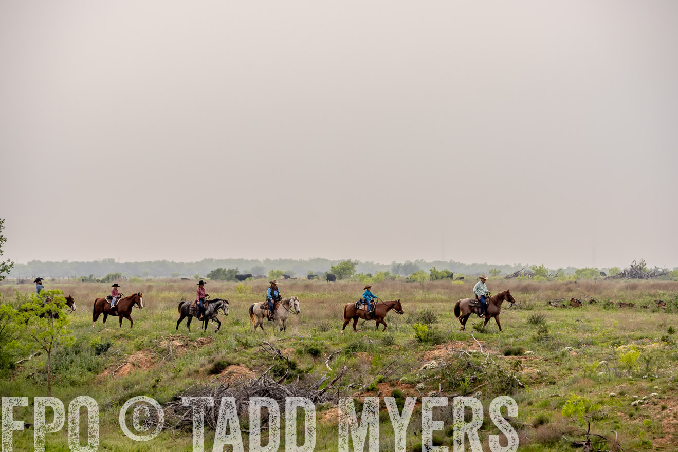 TMyers_PP_CircleBarRanch_TruscottTX_April2024-523239