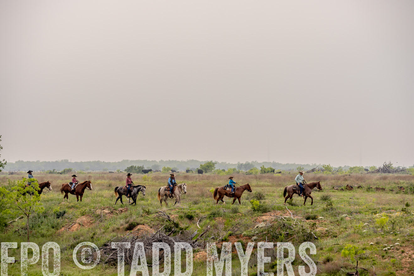 TMyers_PP_CircleBarRanch_TruscottTX_April2024-523240