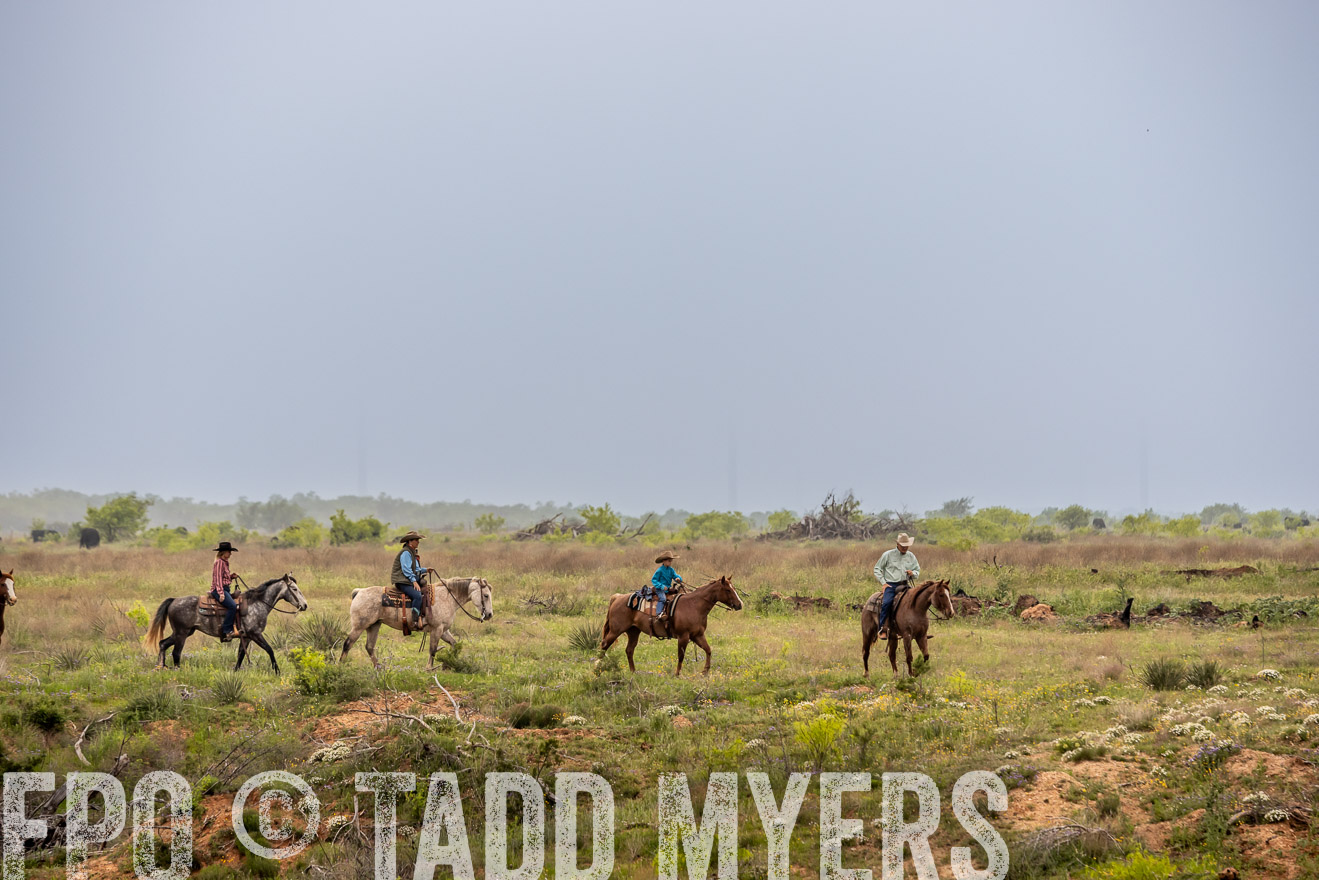 TMyers_PP_CircleBarRanch_TruscottTX_April2024-523251