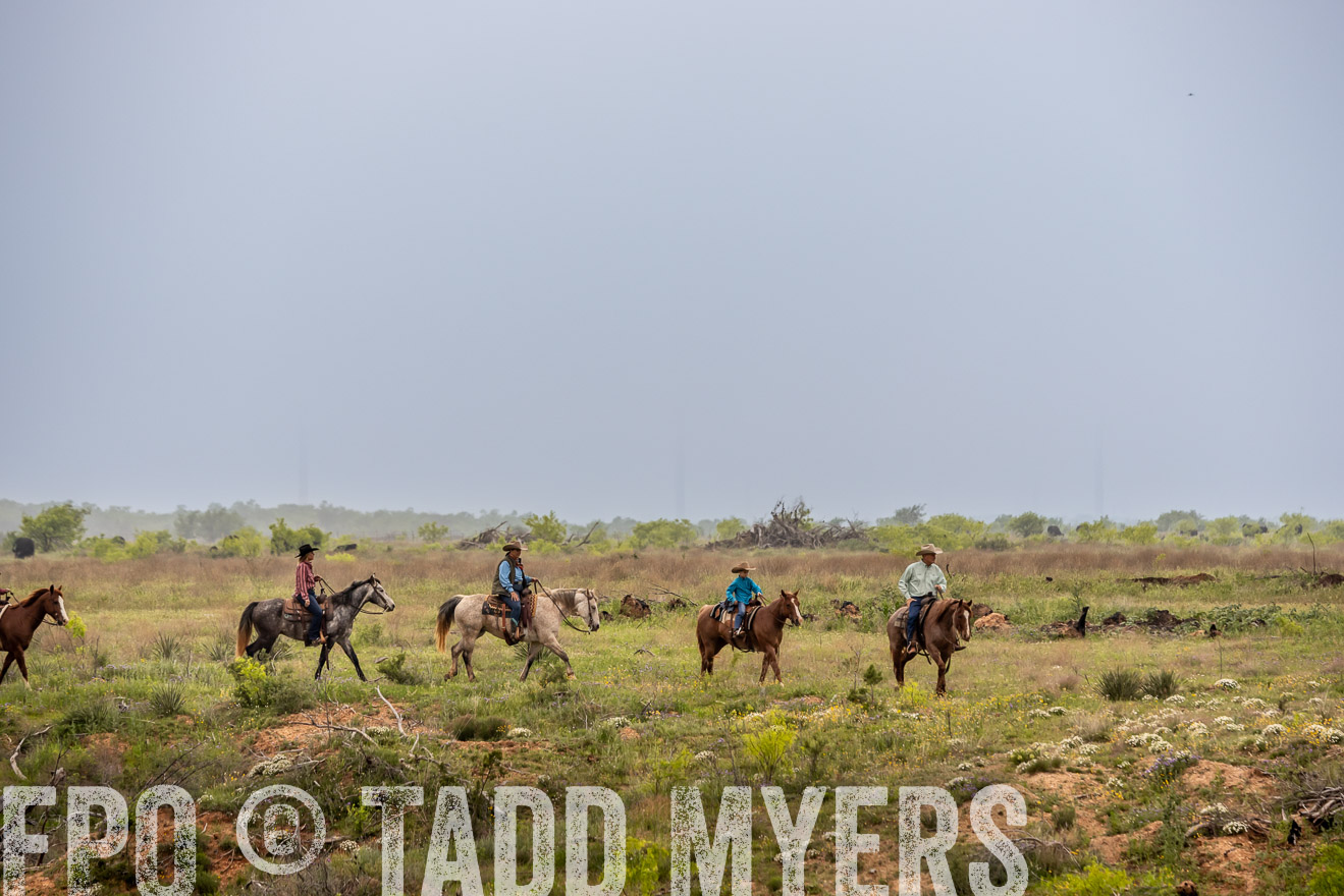 TMyers_PP_CircleBarRanch_TruscottTX_April2024-523256