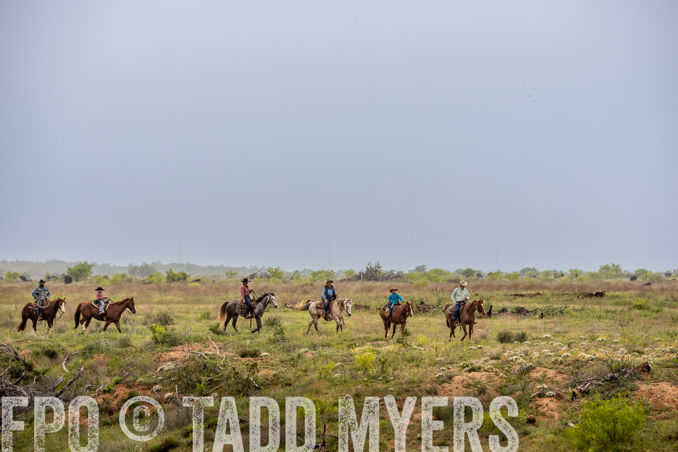 TMyers_PP_CircleBarRanch_TruscottTX_April2024-523259
