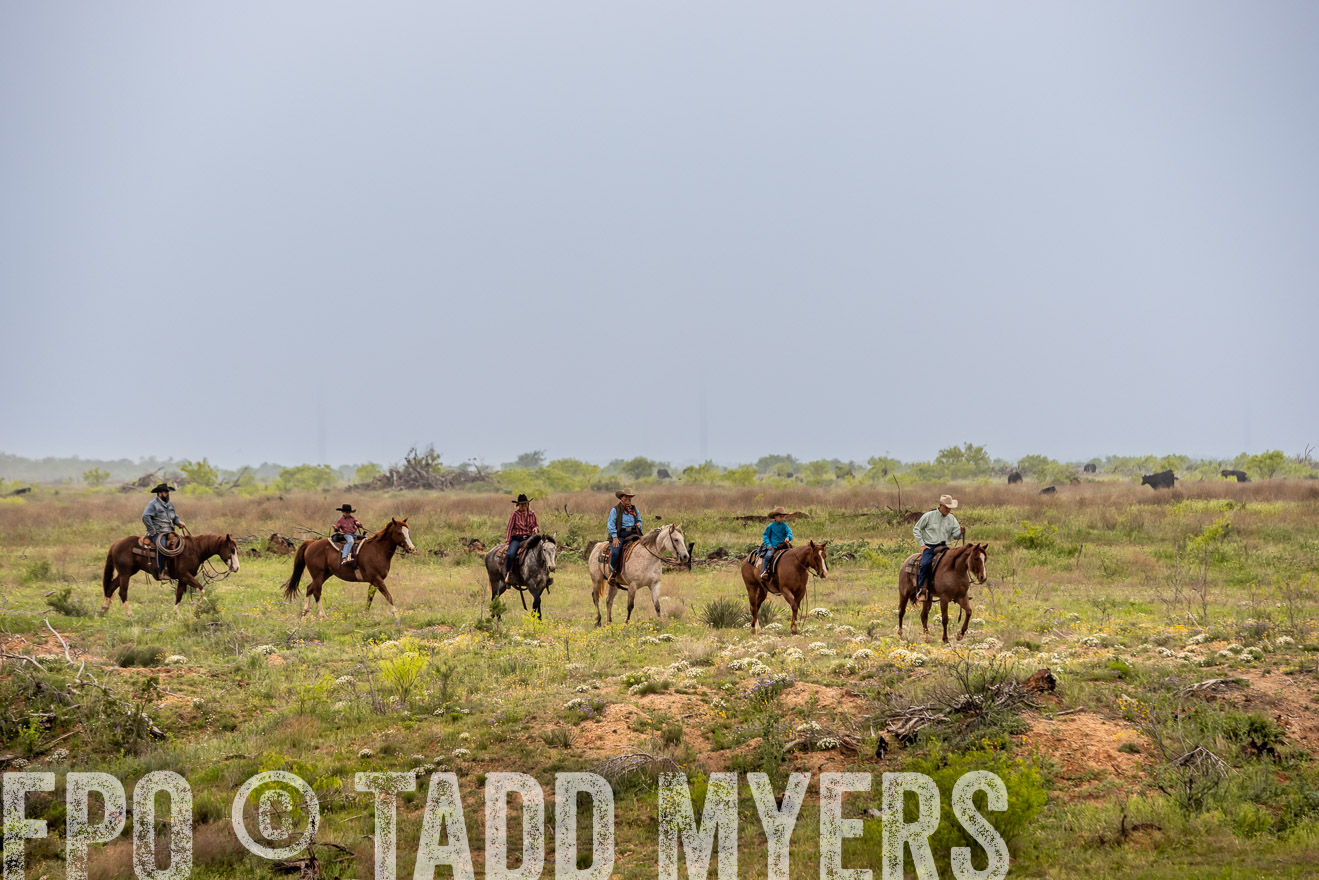 TMyers_PP_CircleBarRanch_TruscottTX_April2024-523268