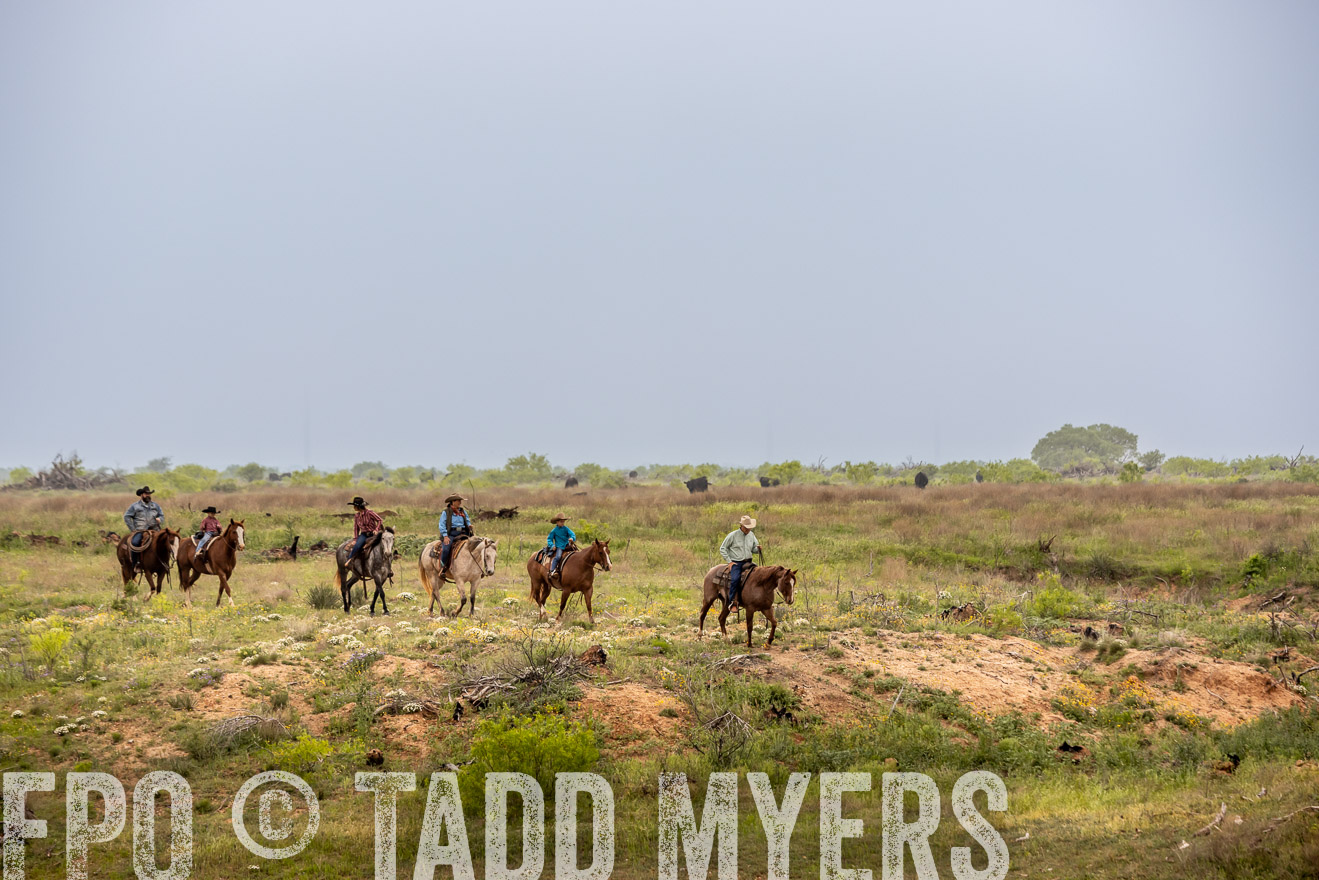 TMyers_PP_CircleBarRanch_TruscottTX_April2024-523273