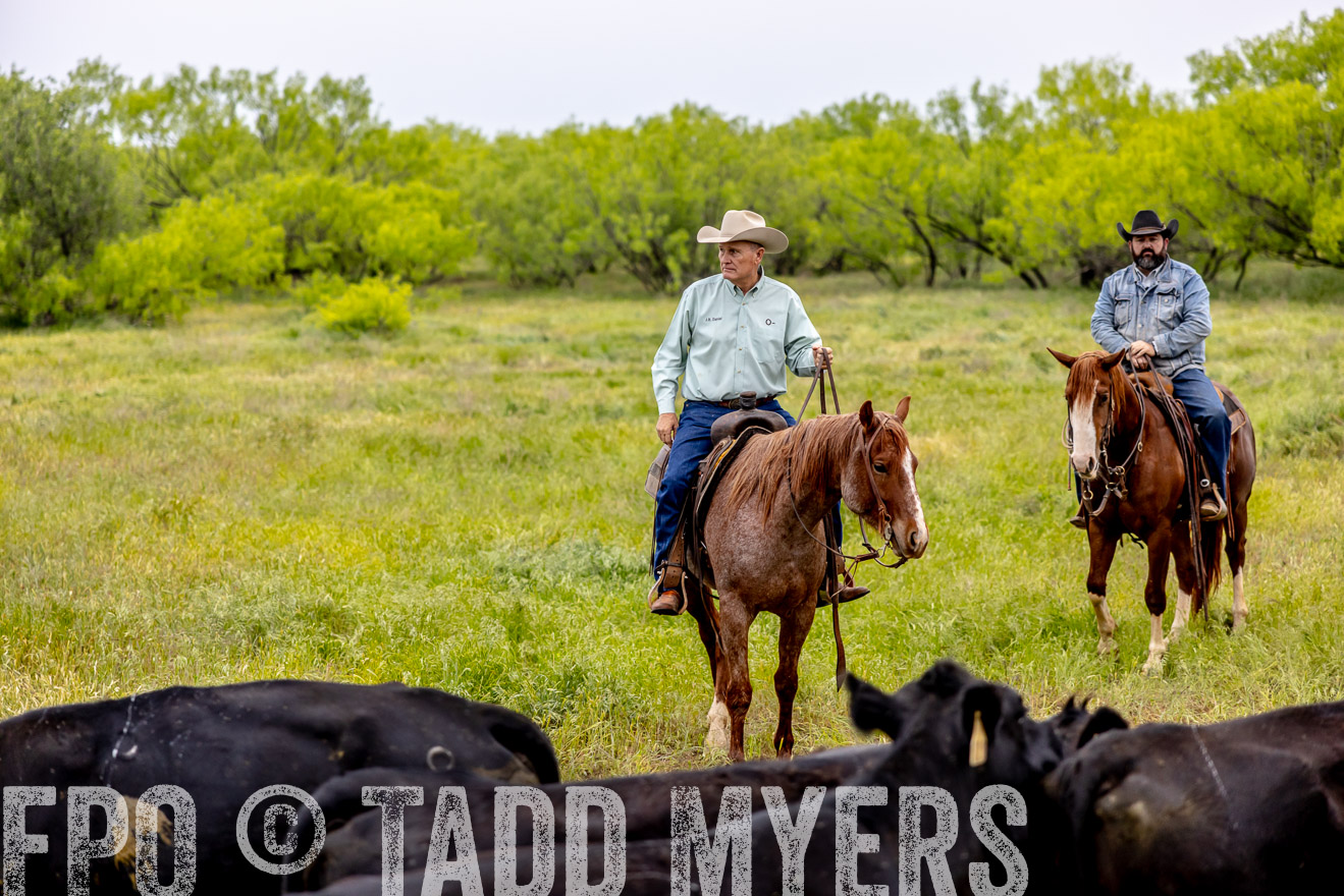 TMyers_PP_CircleBarRanch_TruscottTX_April2024-510463