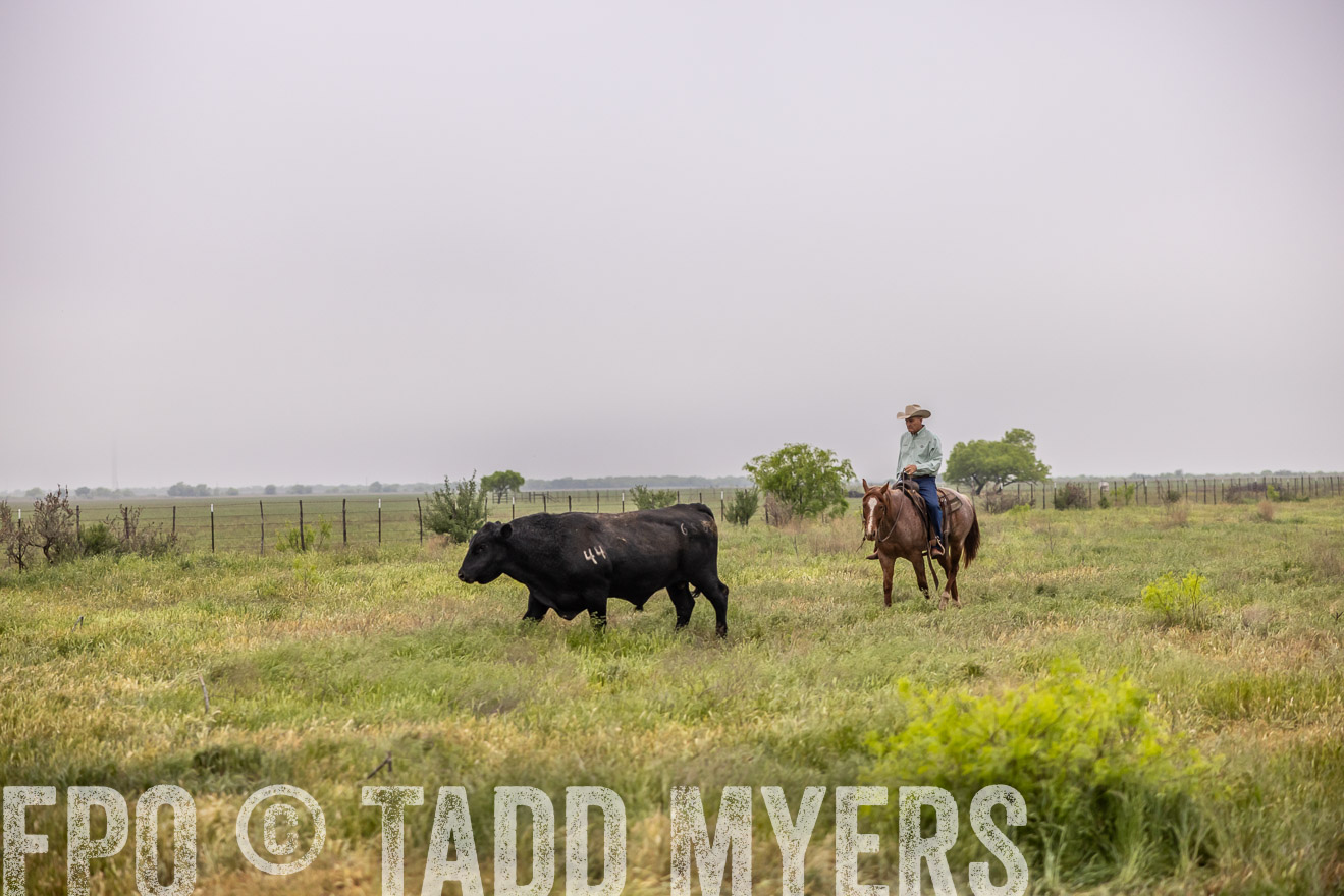 TMyers_PP_CircleBarRanch_TruscottTX_April2024-510521