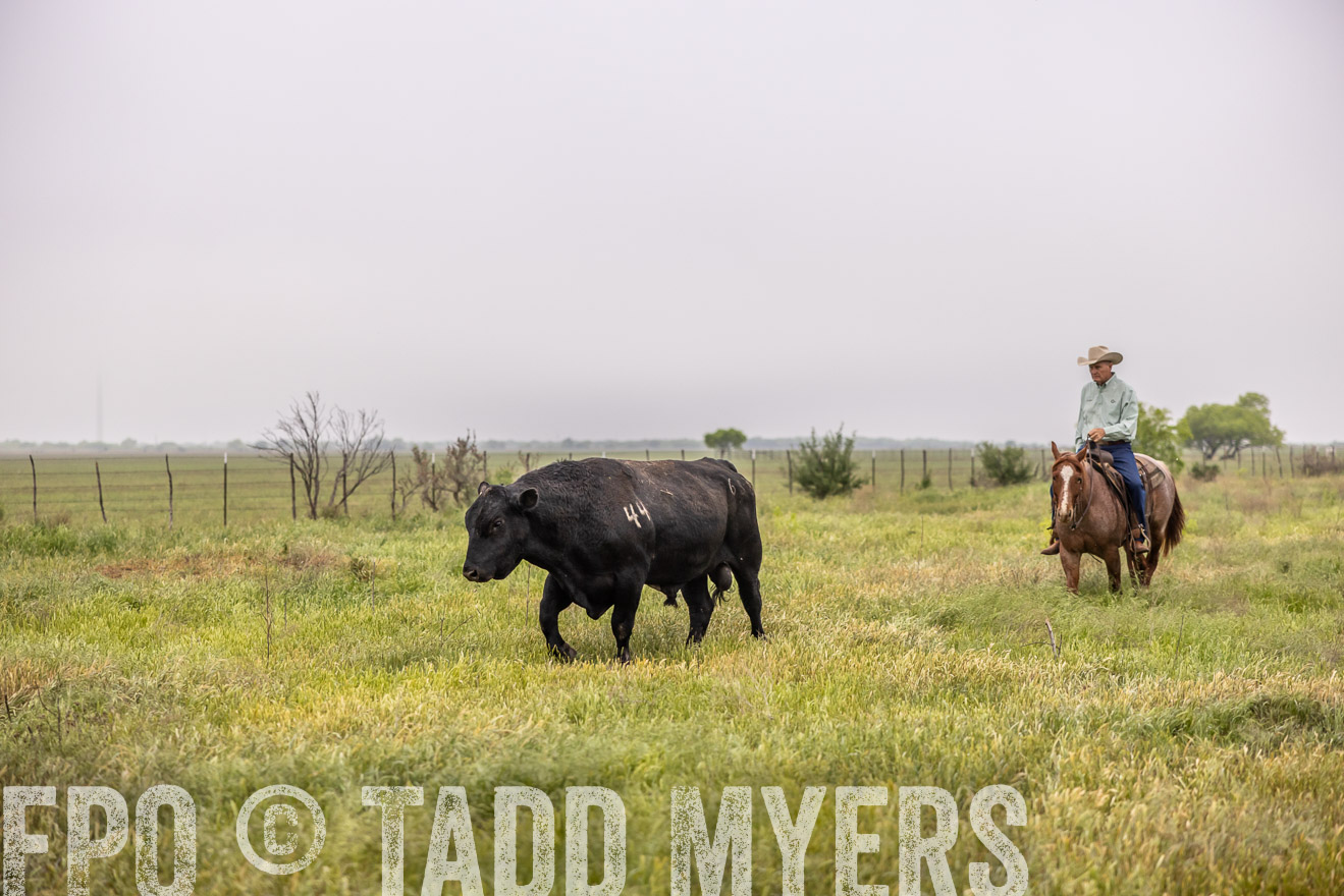 TMyers_PP_CircleBarRanch_TruscottTX_April2024-510525