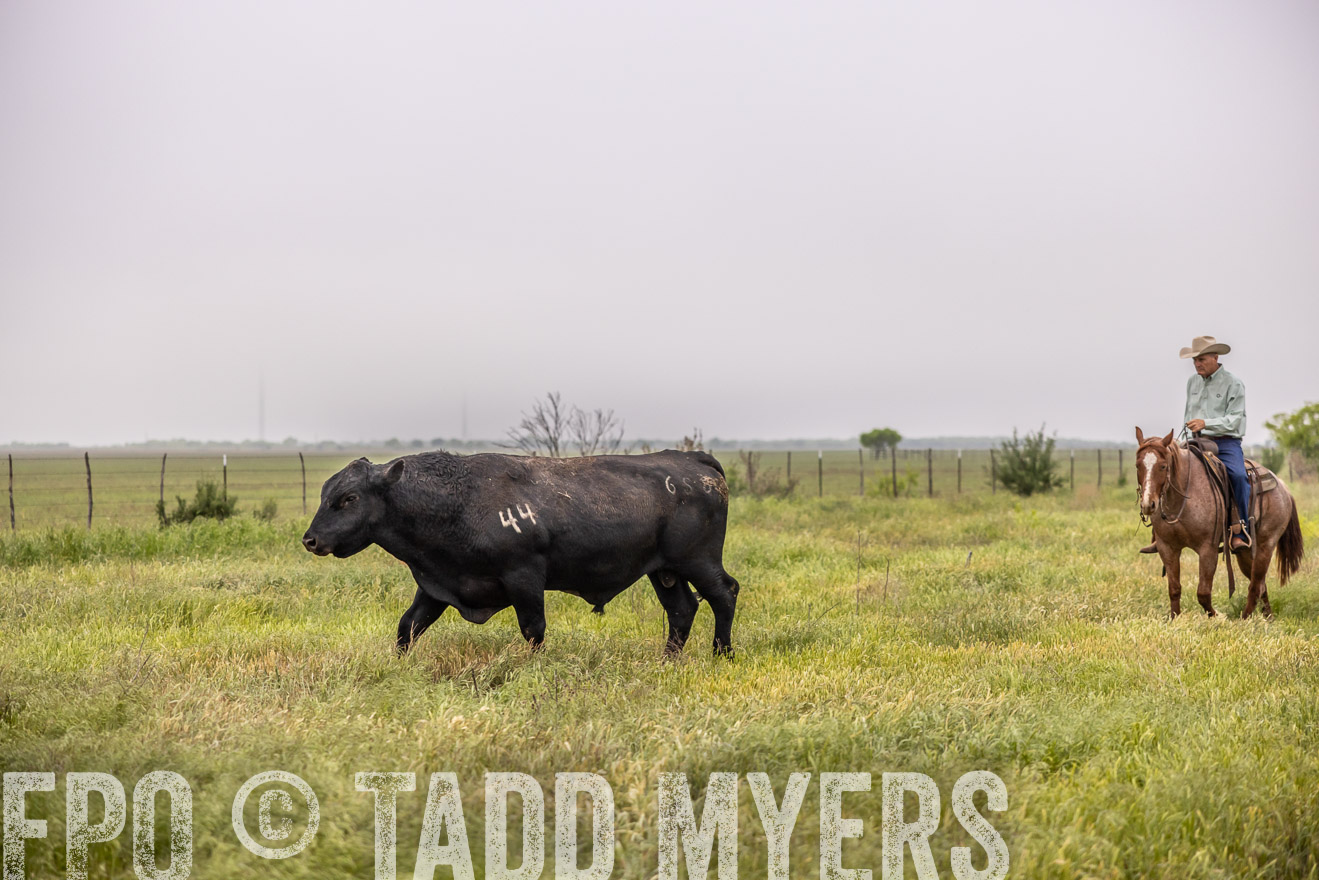 TMyers_PP_CircleBarRanch_TruscottTX_April2024-510527