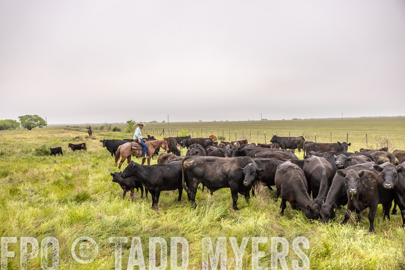 TMyers_PP_CircleBarRanch_TruscottTX_April2024-510560