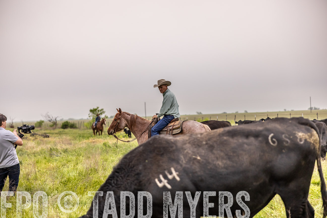 TMyers_PP_CircleBarRanch_TruscottTX_April2024-510648
