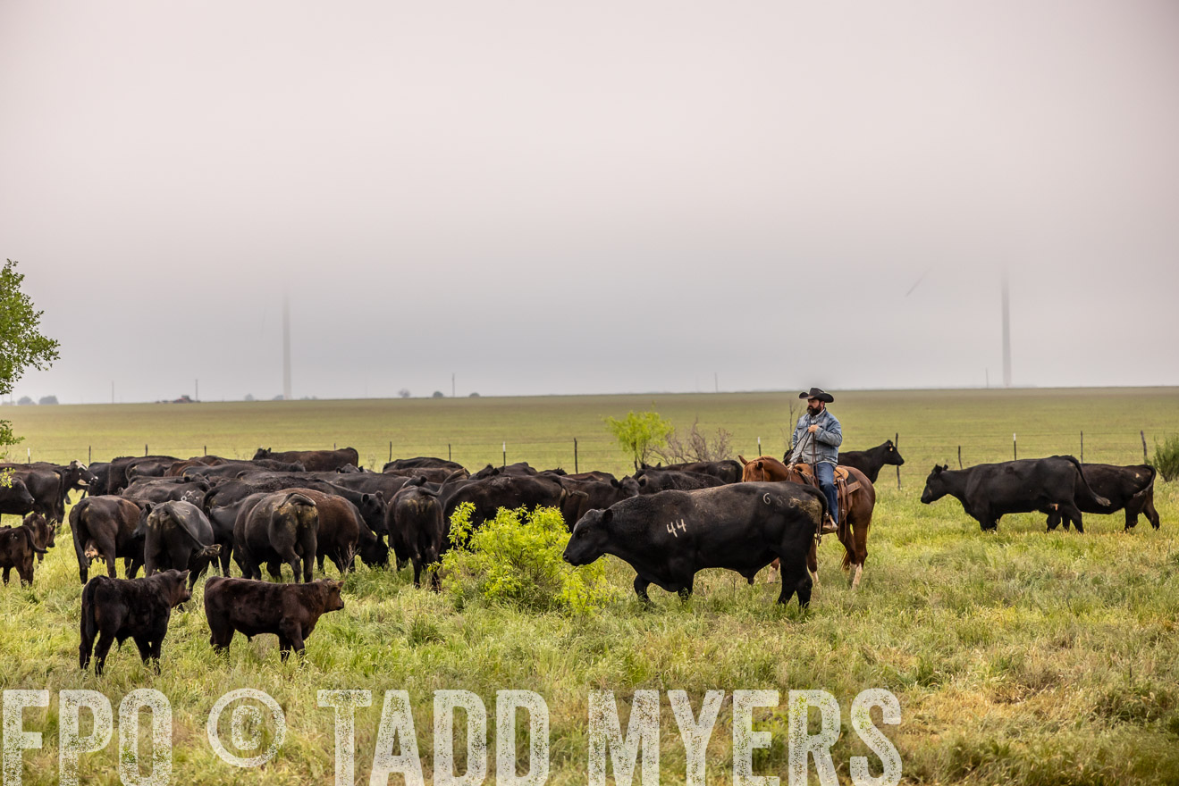 TMyers_PP_CircleBarRanch_TruscottTX_April2024-510692