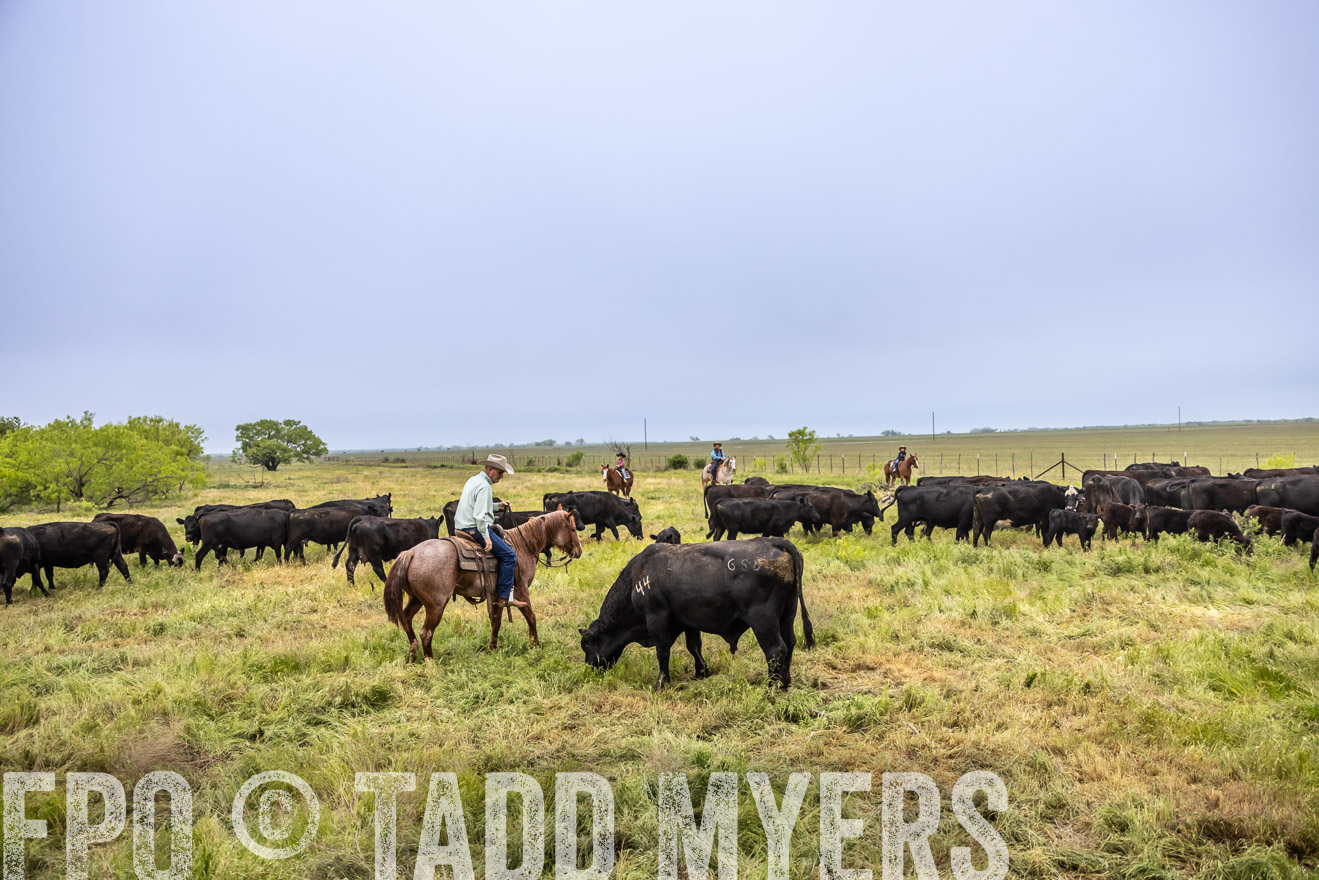 TMyers_PP_CircleBarRanch_TruscottTX_April2024-510944