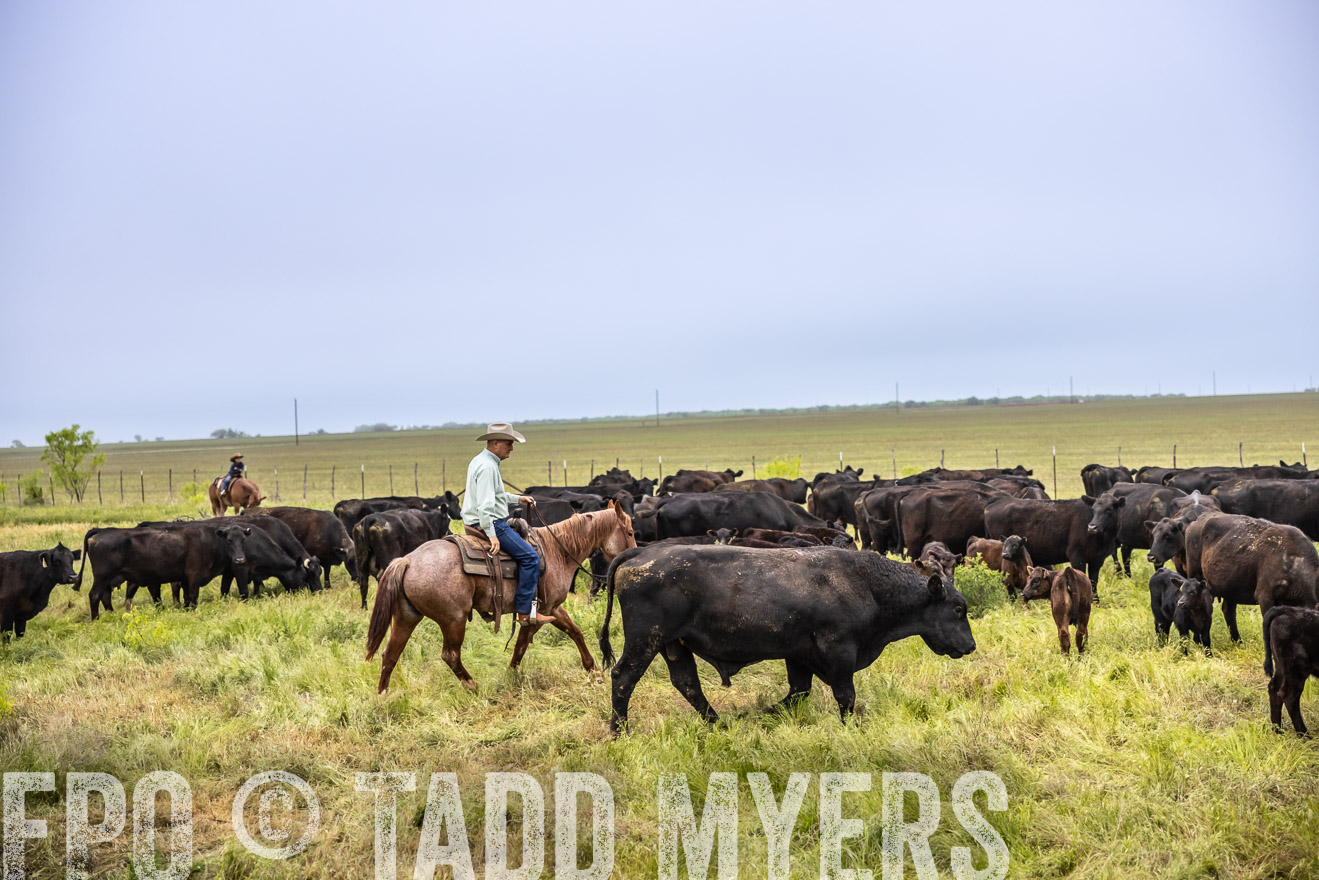 TMyers_PP_CircleBarRanch_TruscottTX_April2024-510951