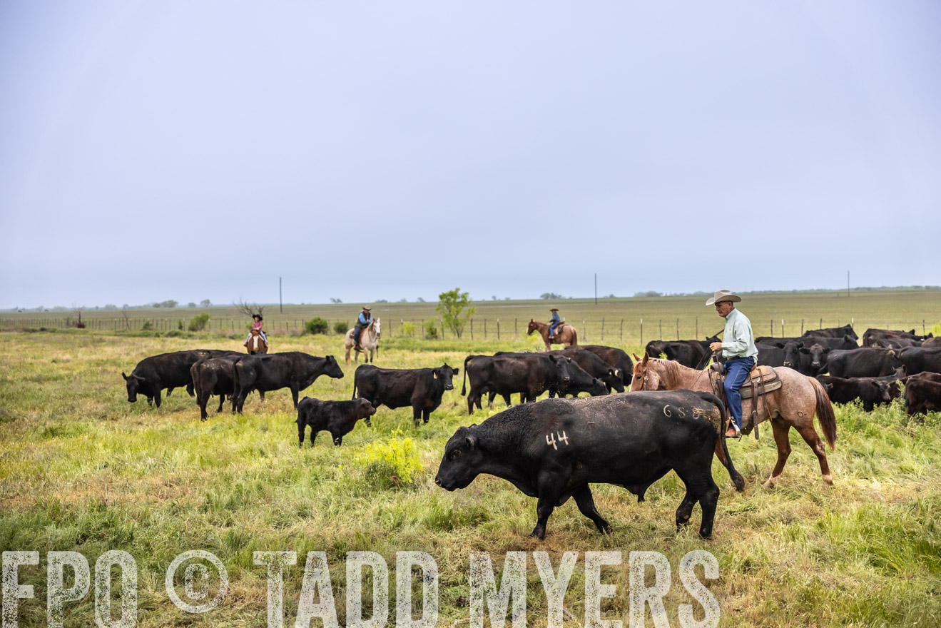 TMyers_PP_CircleBarRanch_TruscottTX_April2024-510977