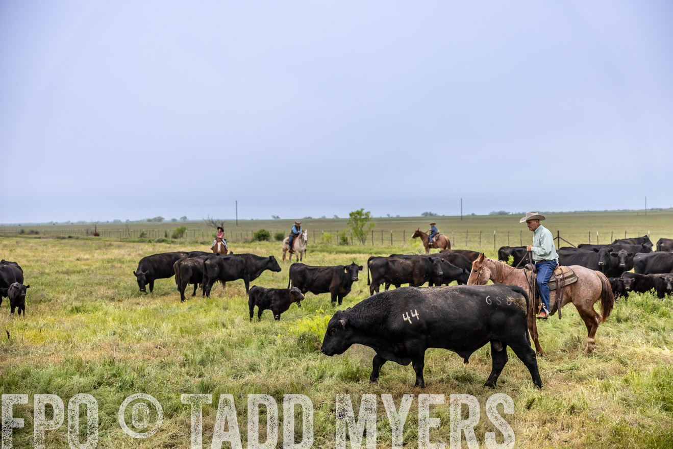TMyers_PP_CircleBarRanch_TruscottTX_April2024-510980