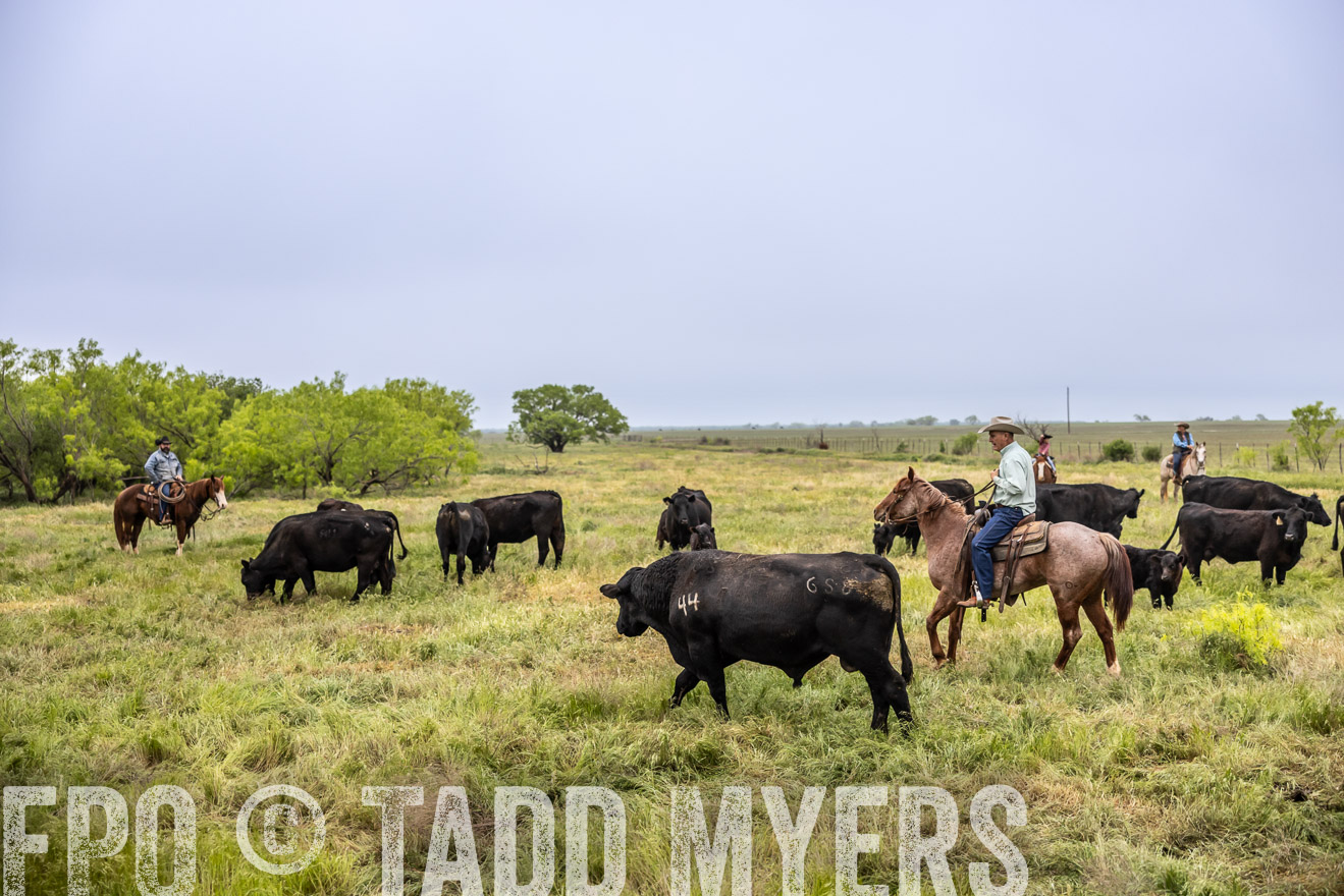 TMyers_PP_CircleBarRanch_TruscottTX_April2024-510999